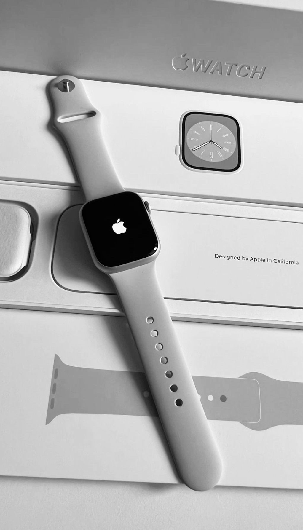 img_0475-1 Apple Watch Liquidation Lot from A&E Pallet Sales